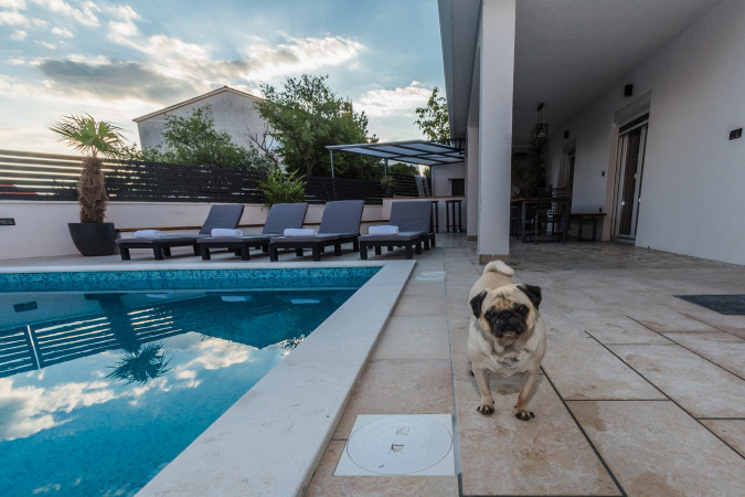 Predivan eksterijer, Villa Bodulka Crikvenica Crikvenica